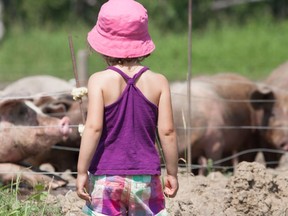 Farm tours are a popular way to spend a sunny weekend in Alberta.