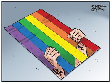 PC and Wildrose parties trapped by Rainbow Flag and their own bigotry. (Cartoon by Malcolm Mayes)
Malcolm Mayes