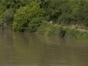 Alberta Environment and Parks (AEP) has issued high streamflow advisories for multiple rivers across the province. Taken on Monday June 12, 2017, in Edmonton.