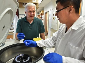 Tom Hobman (left) and Zaikun Xu, University of Alberta researchers, believe they now have a clearer picture of why people living with HIV so commonly suffer from dementia and other neurocognitive disorders in Edmonton, July 20, 2017.