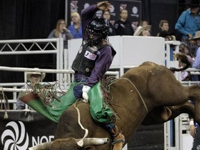 Bull rider Josh Frost rides Cage Fighter during the K-Days Rodeo, in Edmonton Sunday July 23, 2017. Photo by David Bloom