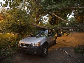 A tree lays across a vehicle near 108A Street and 86 Avenue following a summer storm, in Edmonton Thursday July 27, 2017.