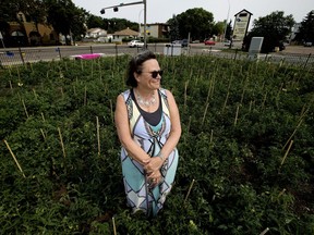 Youth Empowerment and Support Services (YESS) executive director Deb Cautley stands in the YESS Garden of Community, near 93 Street and 82 Avenue, in Edmonton on Sunday, July 30, 2017.