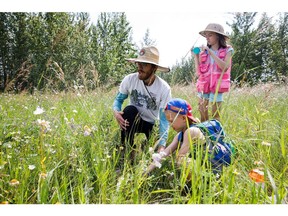 lake Kilkenny, 6, and his sister, Trinity Kilkenny, 11, listen to tour guide Evan Klein as he points out invasive weeds during Bark in the Park at the Terwillegar off-leash area in Edmonton on Saturday. The park will be sprayed with herbicide after it closes on Monday night. (Codie McLachlan/Postmedia) Full Full contract in place Codie McLachlan McLachlan, Codie, Codie McLachlan/Postmedia