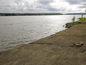 Alberta Health Services warns of a blue-green algal bloom at Wizard Lake, about 50 km southwest of Edmonton.