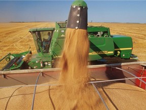 Opinions are still divided five years after the federal government eliminated the Canadian Wheat Board monopoly on Aug. 1, 2012.