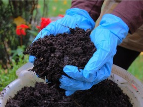 The City of Edmonton recommends boosting the quality of your soil by mixing one part compost with three parts soil.