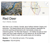 The knowledge card that pops up when people Google Red Deer.