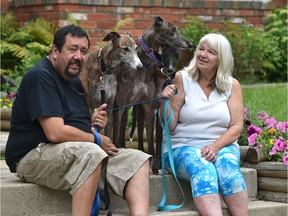 Debbie Ward and John Ward, in their Sturgeon County home on Thursday, Aug. 16, 2017, have invested their lives in rescuing racing greyhounds and bringing them to Canada to find families to adopt them in Edmonton.