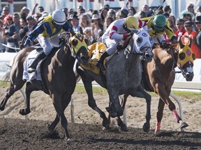 Rico Walcott on Chief Know It All managed to hold off challengers on both sides to win the 88th Running of the Canadian Derby at Northlands Park in Edmonton on Saturday Aug. 19, 2017.