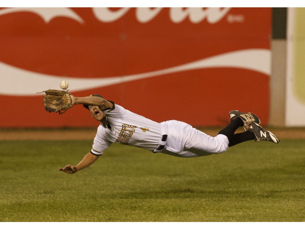 A Baseball Radical Infiltrates the Reds. They Couldn't Be Happier. - The  New York Times