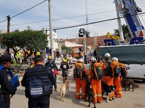 The Canadian Search and Disaster Dog Association (CASDDA), based in Edmonton, has sent a team of six handlers and five dogs to Mexico City to search for survivors of the Sept. 19 earthquake.