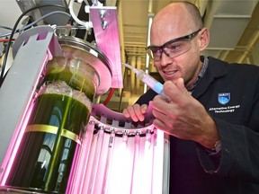 Second year student Gordon Bieche on the photo bioreactor which grows algae for biodiesel and animal feed in the Alternative Energy Technologist program at NAIT, where students leave this highly technical program ready for a career in renewable energy in Edmonton, September 26, 2017.