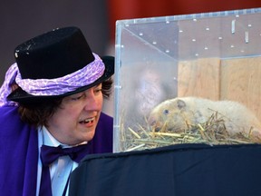 South Bruce Peninsula Mayor Janice Jackson and Wiarton Willie, the albino groundhog, as he makes his annual midwinter weather prediction in Wiarton, Ont., on Feb. 2, 2017.