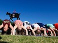 AZ Goat Yoga participants try to stay in a yoga pose as a young goat walks over them at the Welcome Home Ranch Saturday, May 6, 2017, in Gilbert, Ariz. (AP Photo/Ross D. Franklin)
