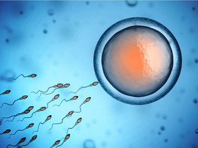 A 3-D model of sperm meeting an egg. Any sexual acts not aimed directly at creating life, said a document submitted to Alberta Education by the Council of Catholic School Superintendents of Alberta, "miss the mark."