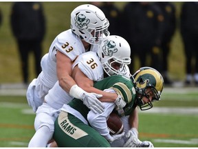 University of Alberta Golden Bears Blake Anaka (33) and Atlee University of Alberta Golden Bears Aaron Chabylo (33) and Joshua Taitinger (36) take down Regina Rams Mitch Picton during university football action at Foote Field in Edmonton, October 14, 2017.
