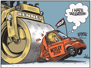 Jason Kenney steamroller tailgates Rachel Notley car. (Cartoon by Malcolm Mayes)