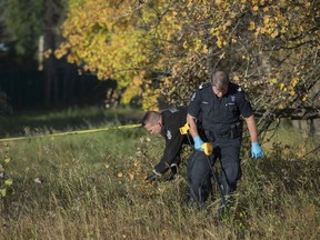 Edmonton police forensics officers comb the area near a driveway on 211 Street near 44 Avenue on Oct. 4, 2017. They were looking for evidence from a police shooting after a traffic stop that ended with the driver being shot by police on Oct. 3, 2017.