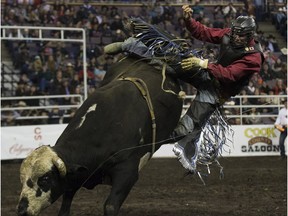 Tanner Girletz is thrown off his bull at the Canadian Finals Rodeo on Saturday November 11, 2017, in Edmonton.
