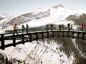 Tourists take in the views from the newly opened Glacier SkyWalk near the Columbia Icefields in Jasper National Park, in 2014. The roar of the chainsaw could soon join the call of the wild in Jasper as Atco Ltd. looks to string power lines to the town site. THE CANADIAN PRESS/Jeff McIntosh