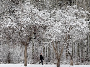 David Staples advocates walking to get the most out of an Edmonton winter.