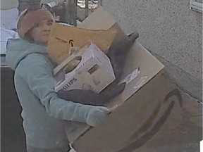 Police are searching for two suspects believed to be responsible for separate instances of parcel thefts in southeast Edmonton.