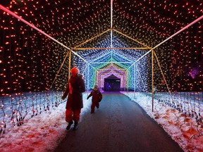 Visitors take in a light tunnel during Zoominescence, the Festival of Light, at the Edmonton Valley Zoo in Edmonton, Alberta on Friday, Dec. 1, 2017.
