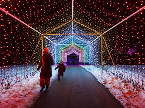 Visitors take in a light tunnel during Zoominescence, the Festival of Light, at the Edmonton Valley Zoo on Friday, Dec. 1, 2017.