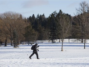 A cross-country skier makes their way through Hawrelak Park in Edmonton Thursday, Dec. 28, 2017.
