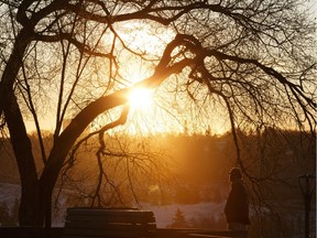 The sun rises as a man takes a break in a tree lined park along MacDonald Drive in Edmonton, Alberta on Wednesday, Jan. 17, 2018. Edmonton received freezing rain overnight. Photo by Ian Kucerak
