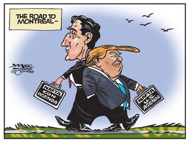 Justin Trudeau and Donald Trump share pants, but pursue different paths with NAFTA. (Cartoon by Malcolm Mayes)