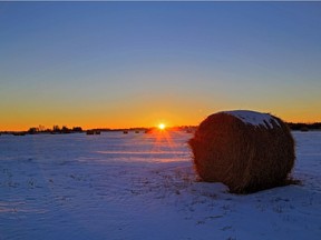 Alberta's searchable Bio-Resource Management Information System (BRIMS) will make it easier for companies to find agricultural and forestry material to use in their products.