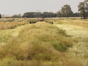 Alberta is seeking public input for policies to build the local food industry.