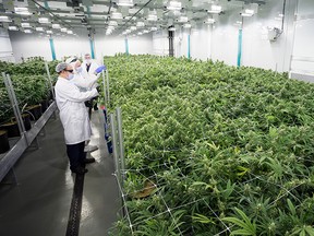 ABcann's state of the art purpose built production facility.
