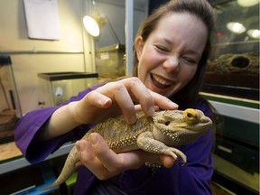 Jennifer Bawden, Science Director at the Telus World of Science, pets Bearded Dragon Iggy in the centre's Staircase Room in Edmonton Wednesday Dec. 6, 2017.