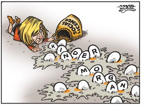 UPLOADED BY: Malcolm Mayes ::: EMAIL: mmayes@artizans.com ::: PHONE: 780-288-3542 ::: CREDIT: Malcolm Mayes ::: CAPTION: For Edmonton Journal use only.   Rachel Notley drops "Kinder Morgan" eggs from "Social Licence" basket. (Cartoon by Malcolm Mayes)