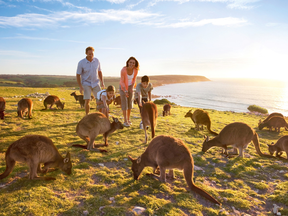 Couple on vacation on Kangaroo Island in Australia