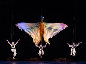 Momix is presented by Alberta Ballet