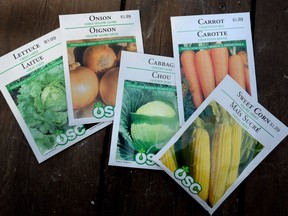 Seed labels are always changing to reflect new technology, including GMO-free and hybrid varieties.