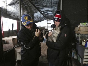 In this Friday, Feb. 23, 2018, photo, American freestyle skier Gus Kenworthy, left, and his boyfriend Matthew Wilkas hold dogs at a dog meat farm in Siheung, South Korea. Kenworthy saved five stray dogs during the Sochi Olympics four years ago and is considering adopting one of the many puppies he met Friday after finishing competition the Pyeongchang Games.