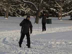 All the fresh snow brought out cross-country skiers to the Victoria Golf Course on Sunday, Feb. 4, 2018 in Edmonton.  Greg  Southam / Postmedia