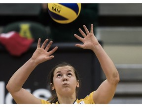 University of Alberta Pandas volleyball setter Eryn Orysiuk.