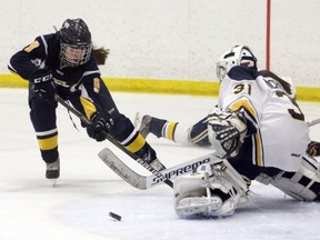 Mackenzie Dachuk, left, of the Peace Country Midget AA Elite Storm, has the puck poked off her stick by St. Albert Sharks goaltender Cecilia Michelutti in game one of the teams' playoff series on Saturday March 18, 2017 at Crosslink County Sportsplex, 5km north of Grande Prairie, Alta. The Storm won 6-2. Logan Clow/Grande Prairie Daily Herald-Tribune/Postmedia Network