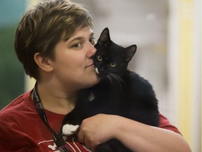Volunteer Devon Kinsella visits with a shelter cat as they wait for the start of the Clear Our Shelter Adoption Event at the Edmonton Humane Society.