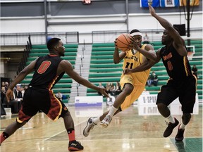 University of Alberta Golden Bears' Mamadou Gueye works against the University of Calgary Dinos, who won Saturday's Canada West final 84-77 at the Saville Community Sports Centre.