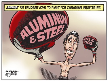 Boxer Justin Trudeau defends Canadian Steel and Oil industries. (Cartoon by Malcolm Mayes)
