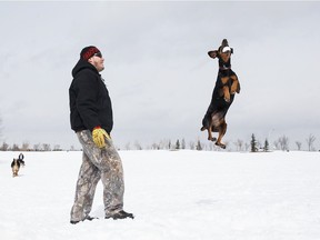 Jari Jamsa plays with his dog Ripley, a Doberman Pinscher,  at Mill Woods dog park in Edmonton on Wednesday, March 28, 2018.