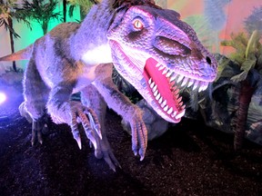 The fearsome Deinonychus is just one of the life-sized, lifelike animatronics on display at the museum.