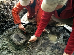Duncan McLaren and Daryl Fedje excavate one of the footprints on Calvert Island.
